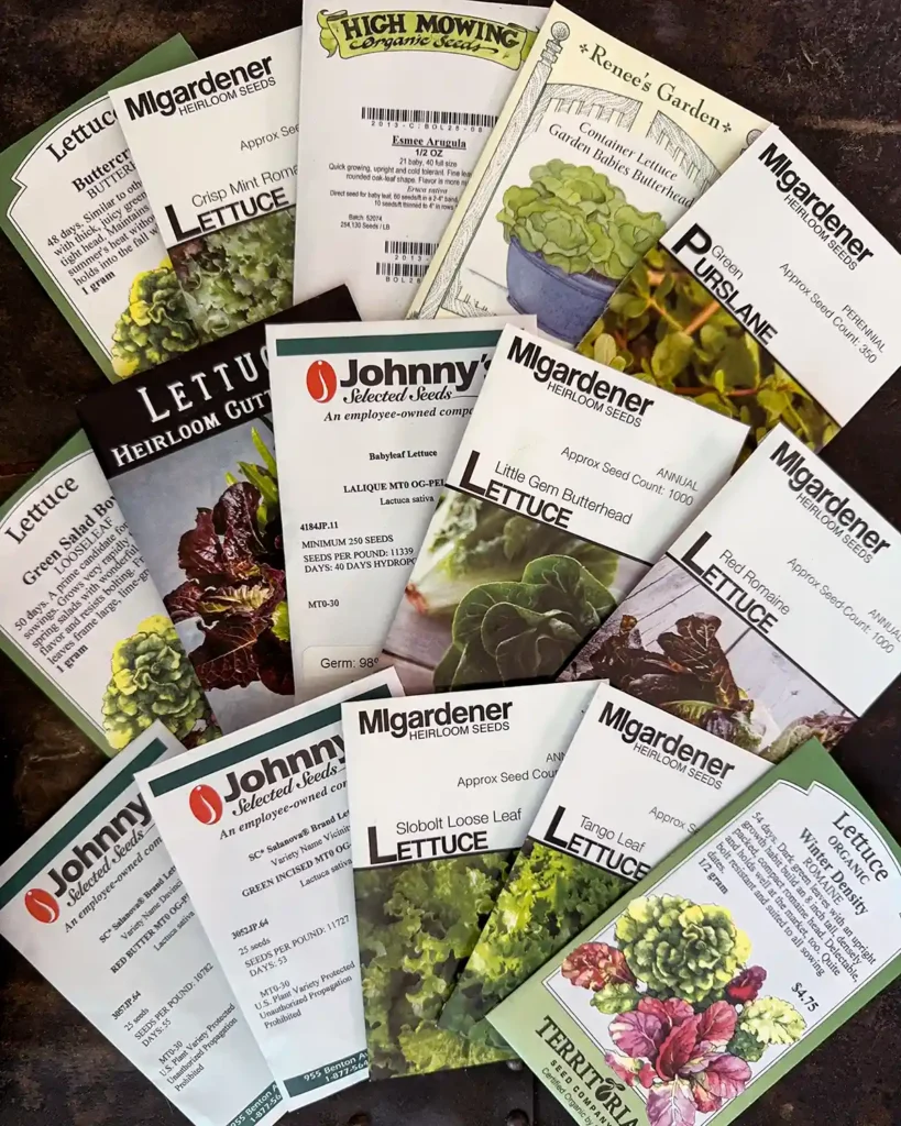Leek seed packets for the 2026 planting season featuring Buttercrunch Butterhead Lettuce, Crisp Mint Lettuce, Esmee Arugula, Garden Babies Butterhead Lettuce, Green Purslane, Green Salad Bowl Looseleaf Lettuce, Heirloom Cutting Mix Lettuce, Lalique Lettuce, Little Gem Butterhead Lettuce, Red Romaine Lettuce, Salanova Foundation Mix, Salanova Premier Mix, Slobolt Loose Leaf Lettuce, Tango Leaf Lettuce, Winter Density Romaine Lettuce