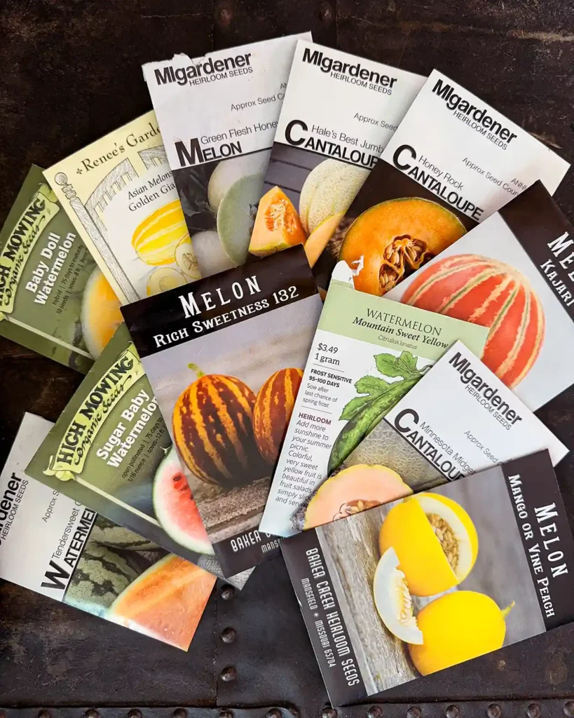Melon seed packets for the 2026 planting season featuring Baby Doll Watermelon, Golden Giant Asian Melon, Green Flesh Honeydew, Hale's Best Jumbo Cantaloupe, Honey Rock Cantaloupe, Kajari Melon, Mango Melon, Minnesota Midget Cantaloupe, Mountain Sweet Yellow Watermelon, Rich Sweetness 132 Melon, Sugar Baby Watermelon, and Tendersweet Orange Watermelon