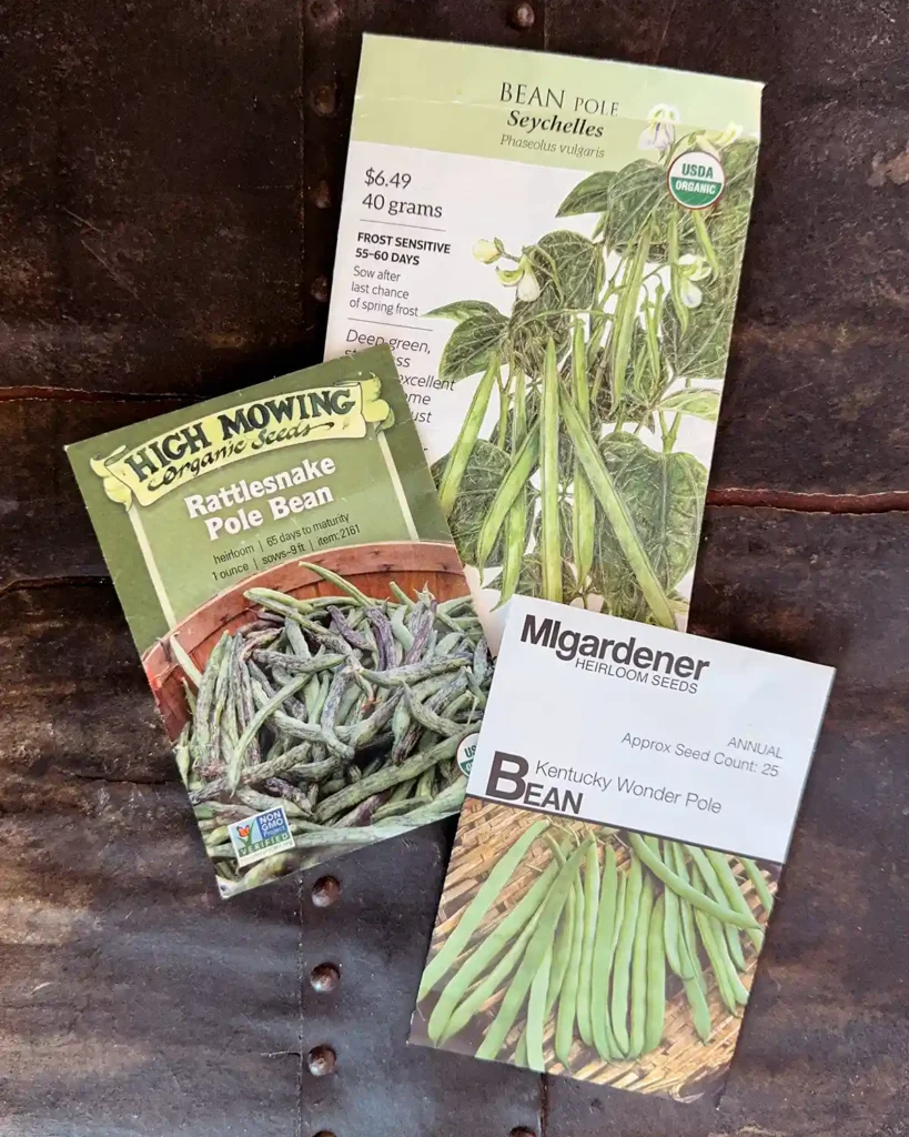 Pole snap bean seed packets for the 2026 planting season featuring Seychelles, Rattlesnake, and Kentucky Wonder