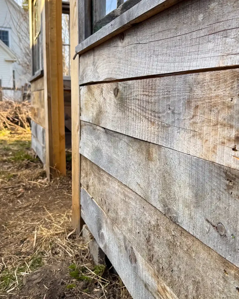Rough cut wood turned into shiplap siding for a DIY greenhouse structure