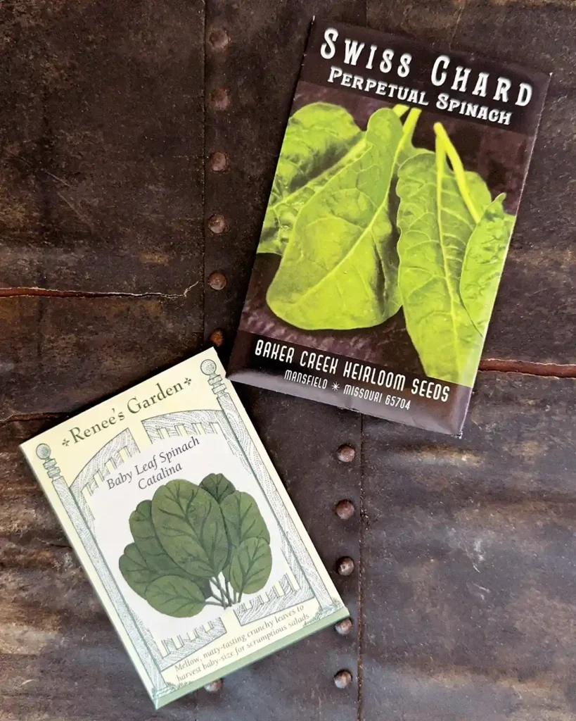 Spinach seed packets for the 2026 planting season featuring Baby Leaf Spinach and Perpetual Spinach