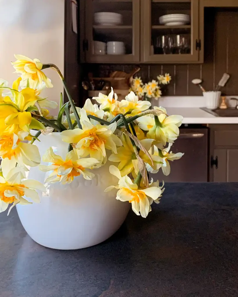 A vase of yellow daffodils sitting on top of a counter after picking spring blooms in the yard, a spring bucket list item