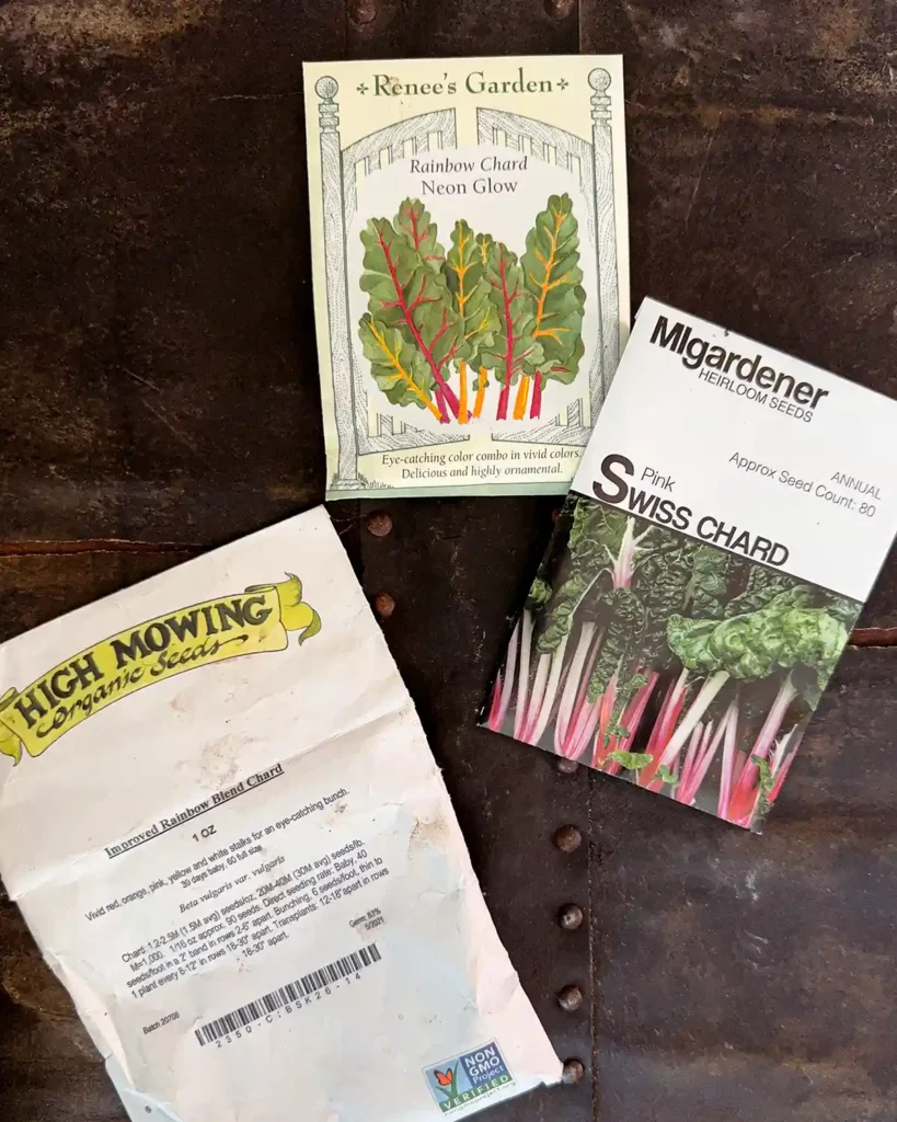Swiss chard seed packets for the 2026 planting season featuring Neon Glow Swiss Chard, Pink Swiss Chard, and Rainbow Swiss Chard