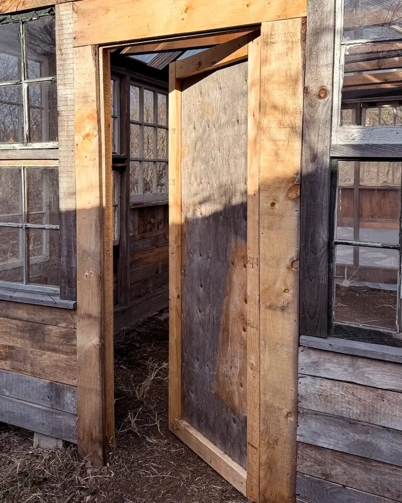 A temporary greenhouse door that's looking kind of rough, built from scrap wood