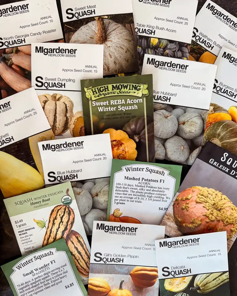 Winter squash seed packets for the 2026 planting season featuring Baby Blue Hubbard, Blue Hubbard, Burgess Buttercup, Delicata, Galeux D’Eysines, Gil’s Golden Pippin, Honey Boat Delicata, Mashed Potatoes Acorn, North Georgia Candy Roaster, Small Wonder Spaghetti, Spaghetti, Sweet Dumpling, Sweet Meat, Sweet Reba Acorn, Table King Bush Acorn, and Waltham Butternut