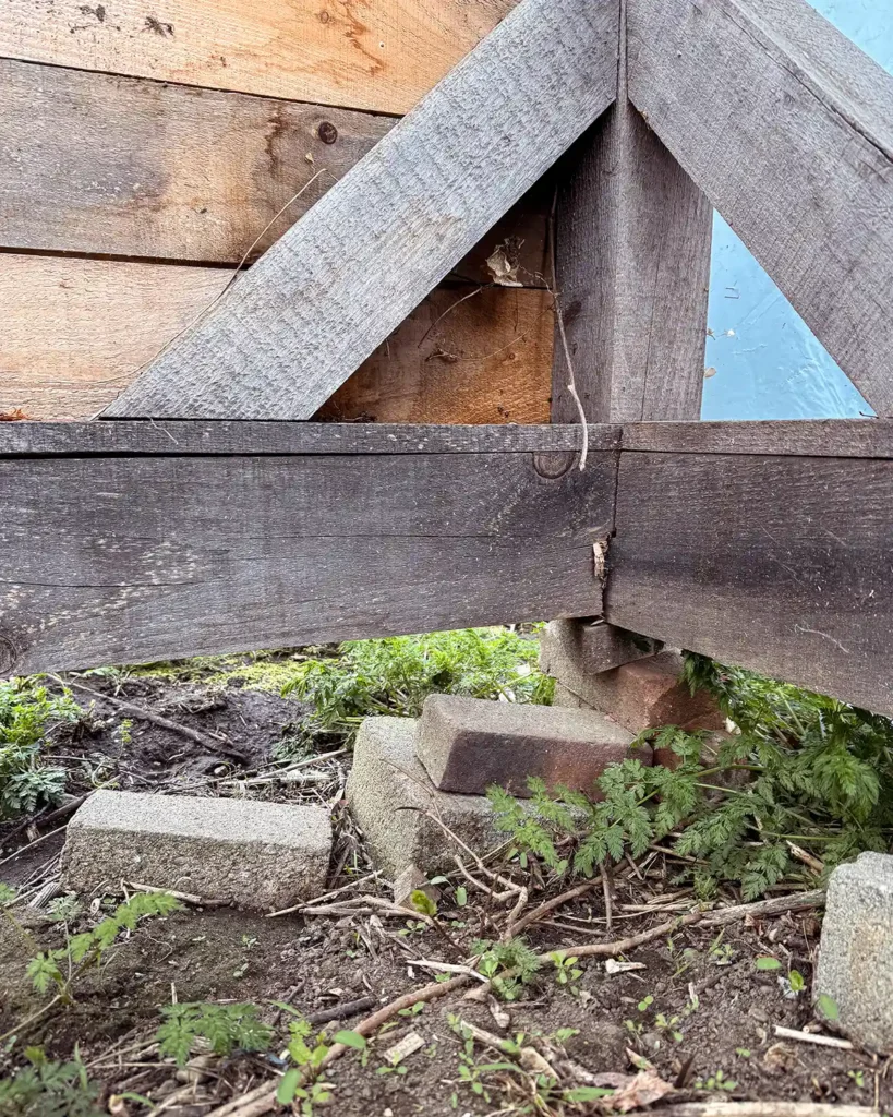 A greenhouse sinking on one end after the bricks and footers washed away during the spring thaw and snow melt