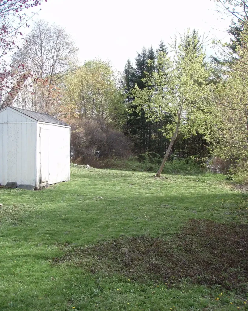 The before picture for the backyard of a newly bought house in Maine with a small, white shed in need of painting and the end of a long, narrow yard overgrown with brush