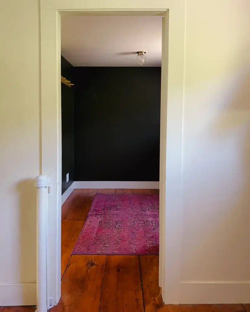 View of a dark painted room from a hallway, through the door, with only a rug on the floor and otherwise completely cleared out of clutter, decor, and furniture