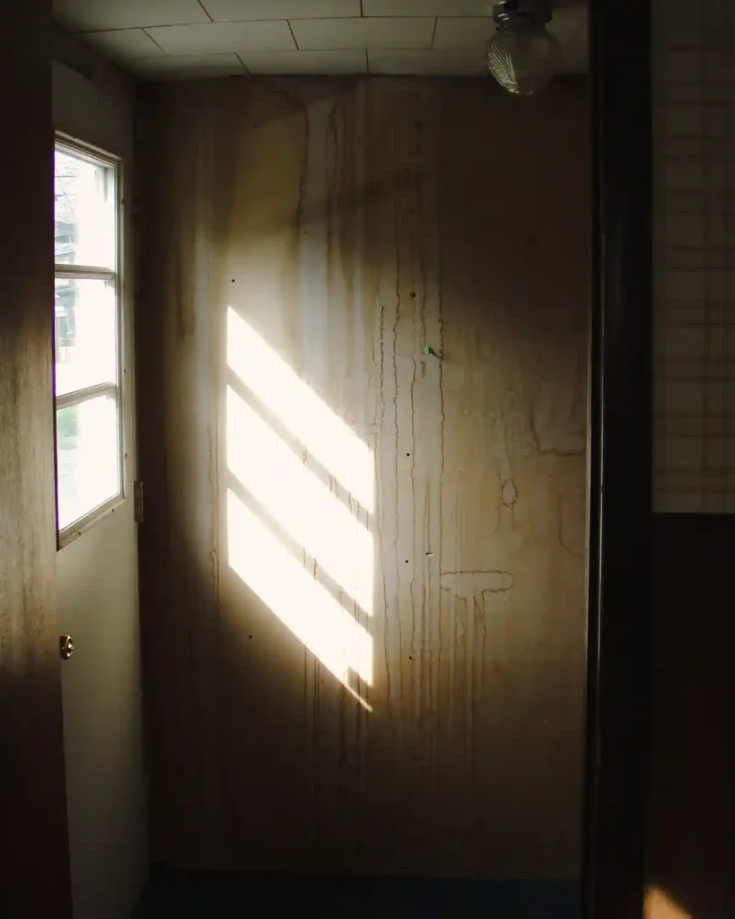 A dated entry to a fixer-upper home in Maine with visible water damage to the walls and ceiling and an old entry door in disrepair