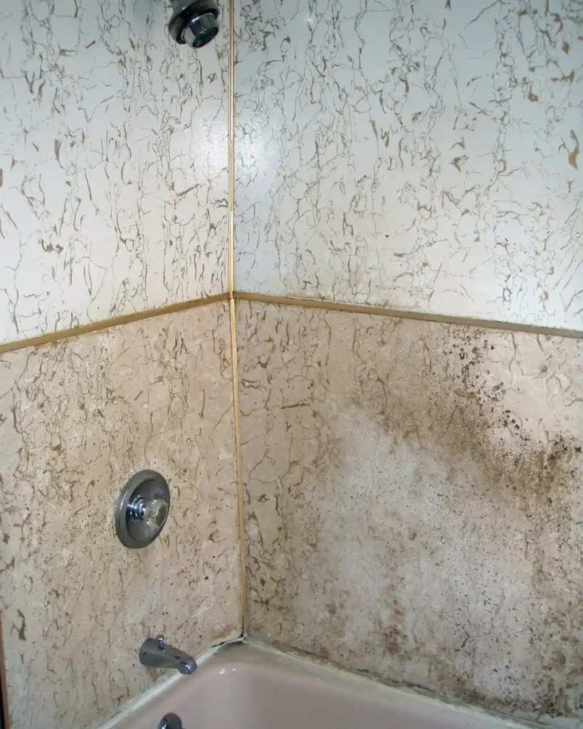 A pink cast iron tub with paneled shower walls in really bad condition in need of renovating