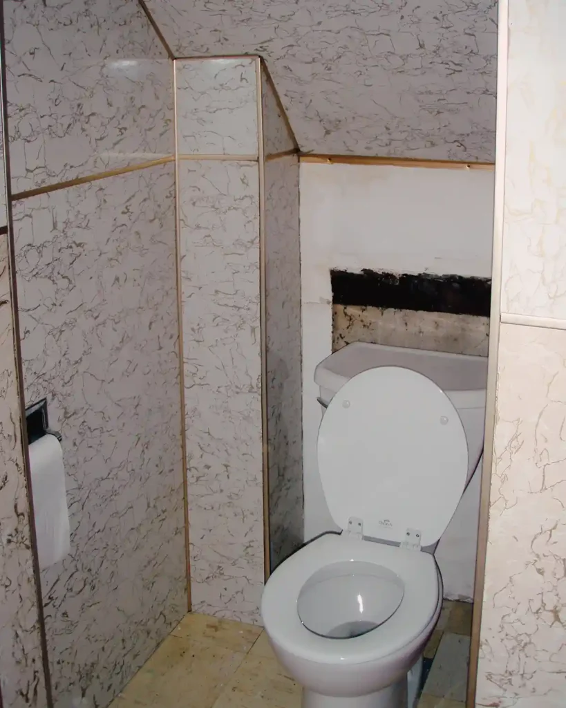 A light pink, vinyl clad walls around a toilet nook that's in need of a renovation